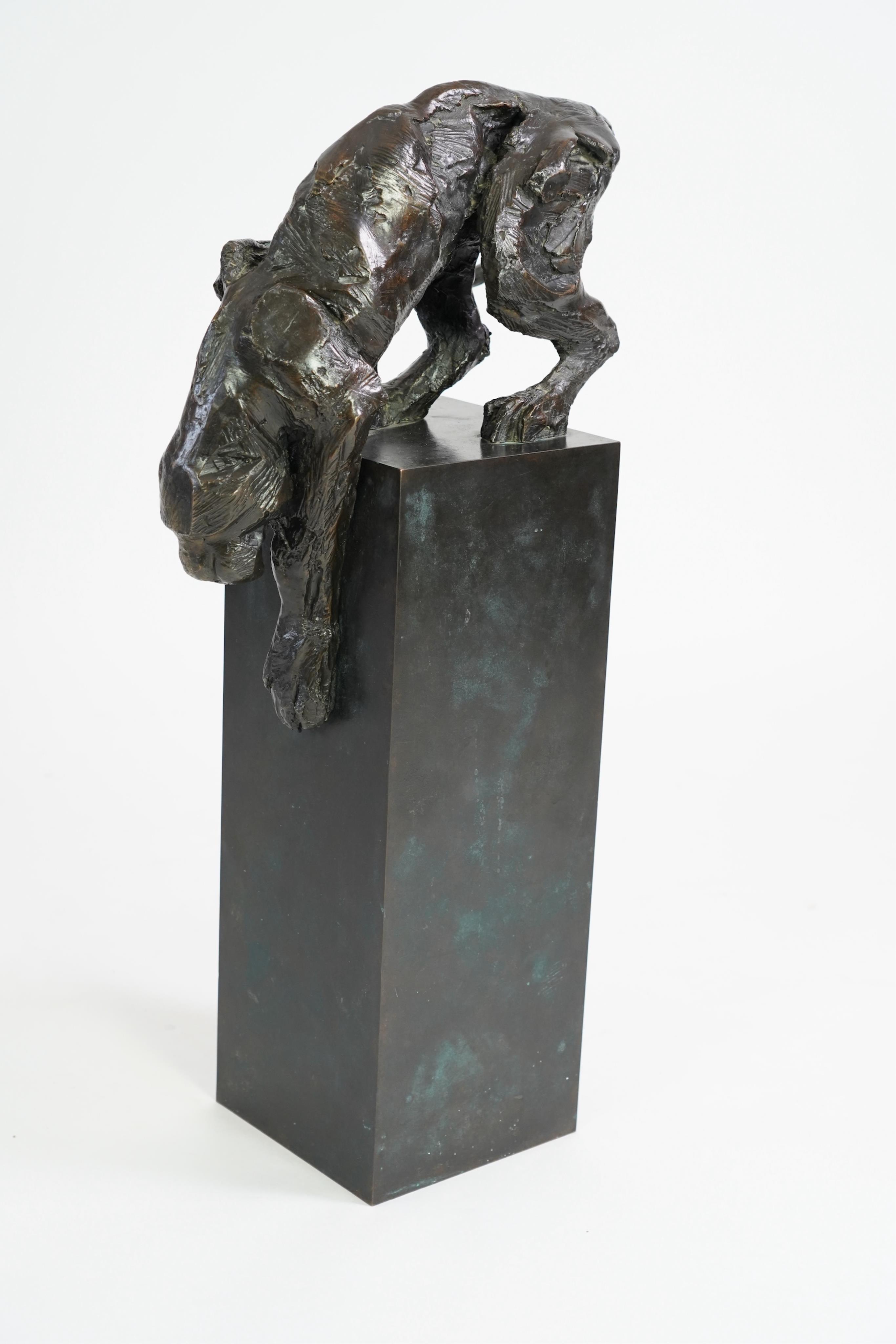 Kate Denton (b. 1954), 'Panther'
